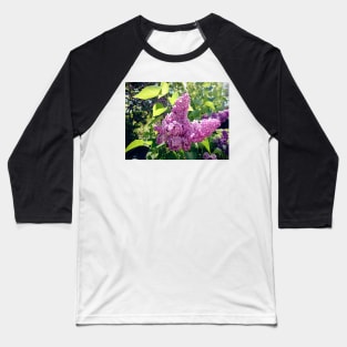 Lilacs bloom Baseball T-Shirt